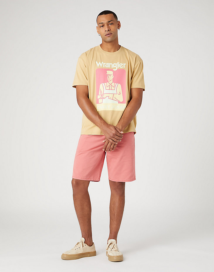 Casey Chino Shorts in Faded Rose alternative view