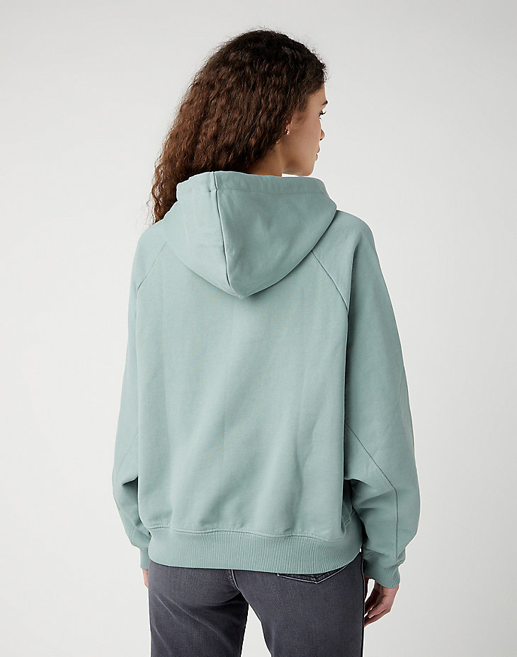 Relaxed Hoodie in Light Matcha alternative view 2