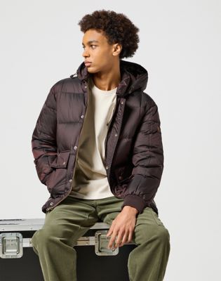 Parka Jacket in Mole alternative view