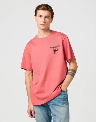 Graphic Tee in Nantucket alternative view