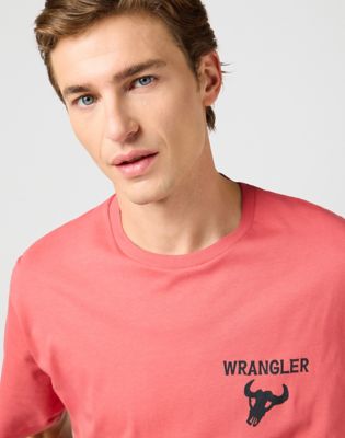 Graphic Tee in Nantucket alternative view 4