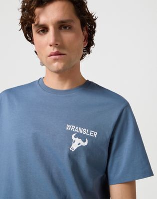 Graphic Tee in Dusty Blue alternative view 3