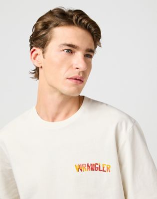 Big Graphic Tee in Vintage White alternative view 4