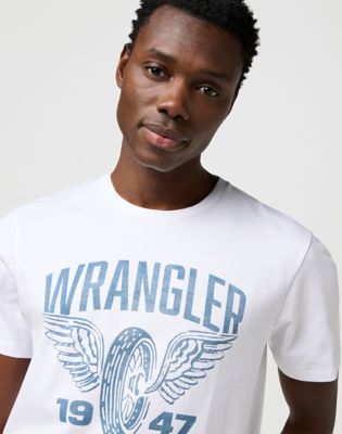 Regular Americana Tee in Worn White alternative view 3