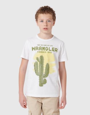 Western Cactus Tee in Bright White alternative view 5