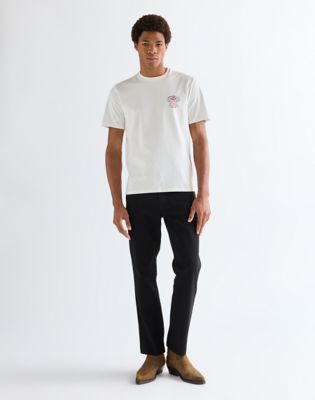 Regular Small Americana Tee in Worn White