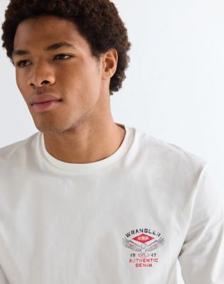 Regular Small Americana Tee in Worn White