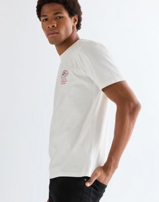 Regular Small Americana Tee in Worn White
