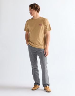 Relaxed Graphic Tee in Kelp