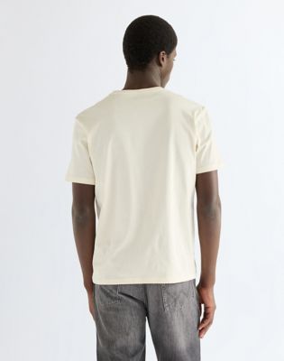 Regular Small Americana Tee in Antique White