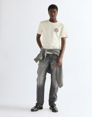 Regular Small Americana Tee in Antique White