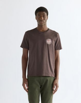 Regular Small Americana Tee in Chocolate Torte