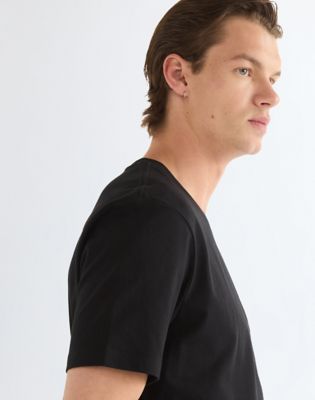Regular Small Graphic Tee in Black Beauty