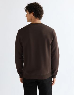 Regular Small Graphic Crew Sweatshirt in Chocolate Torte