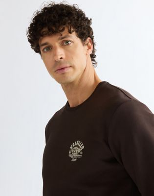 Regular Small Graphic Crew Sweatshirt in Chocolate Torte