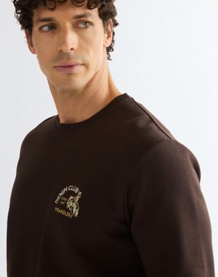 Regular Small Graphic Crew Sweatshirt in Chocolate Torte
