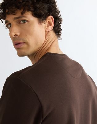 Regular Small Graphic Crew Sweatshirt in Chocolate Torte