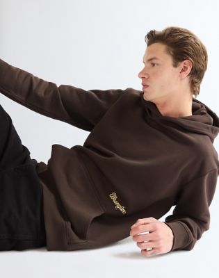 Relaxed Embroidery Hoodie in Chocolate Torte