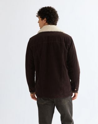 Regular Wrange Coat in Chocolate Torte