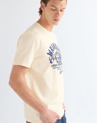 Regular Americana Tee in Antique White