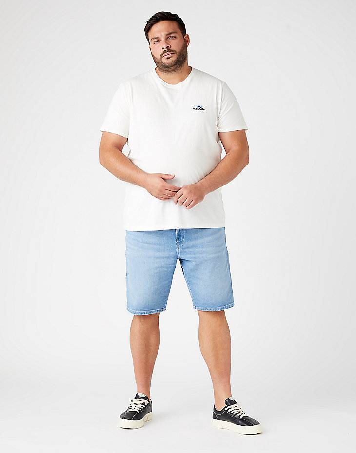 Texas Shorts in Blue Champ alternative view