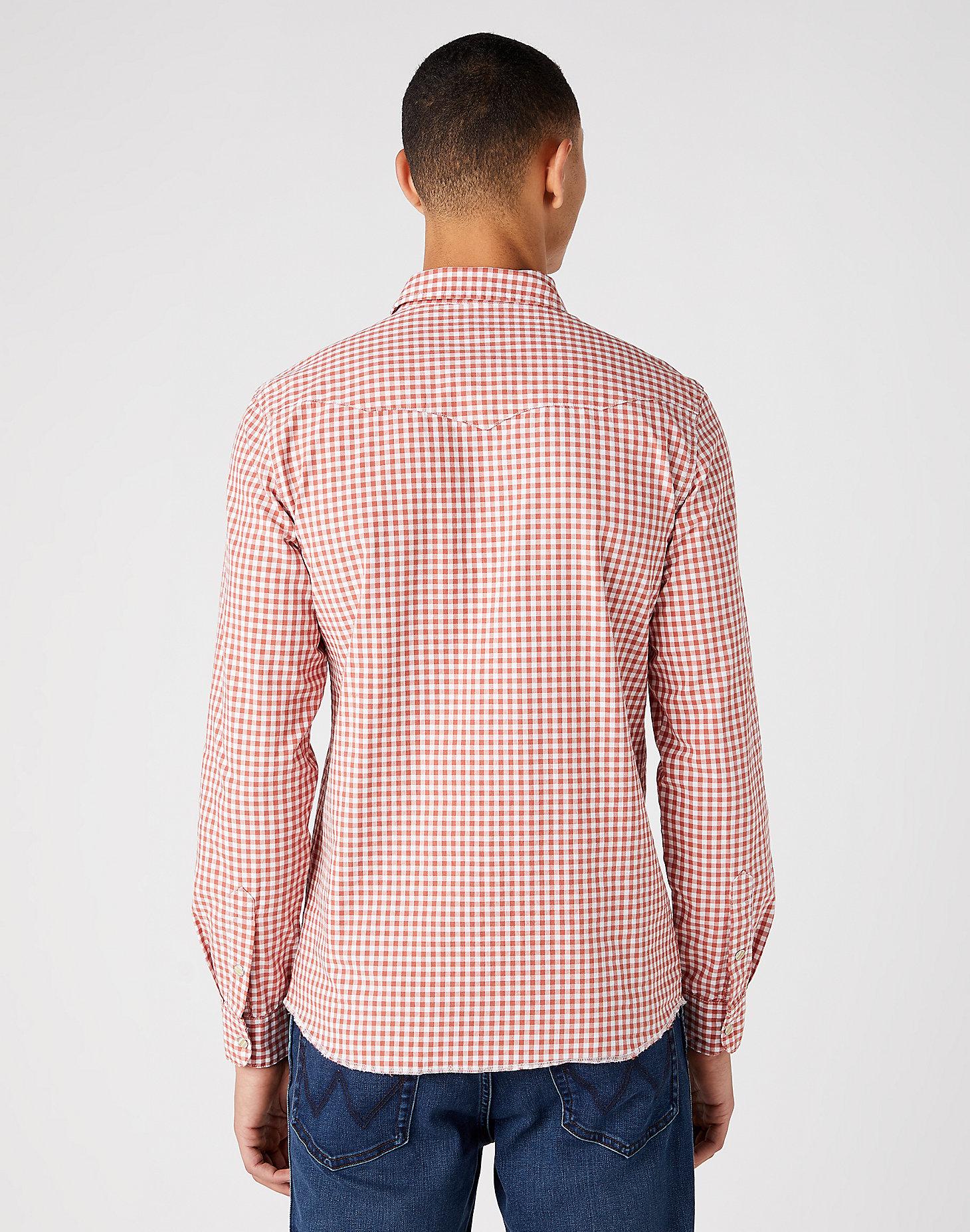 Long Sleeve Western Shirt in Etruscan Red alternative view 3