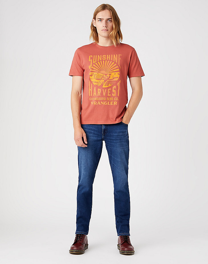 Earth Dream Tee in Etruscan Red alternative view