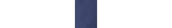Polo Shirt in Navy alternative view 4