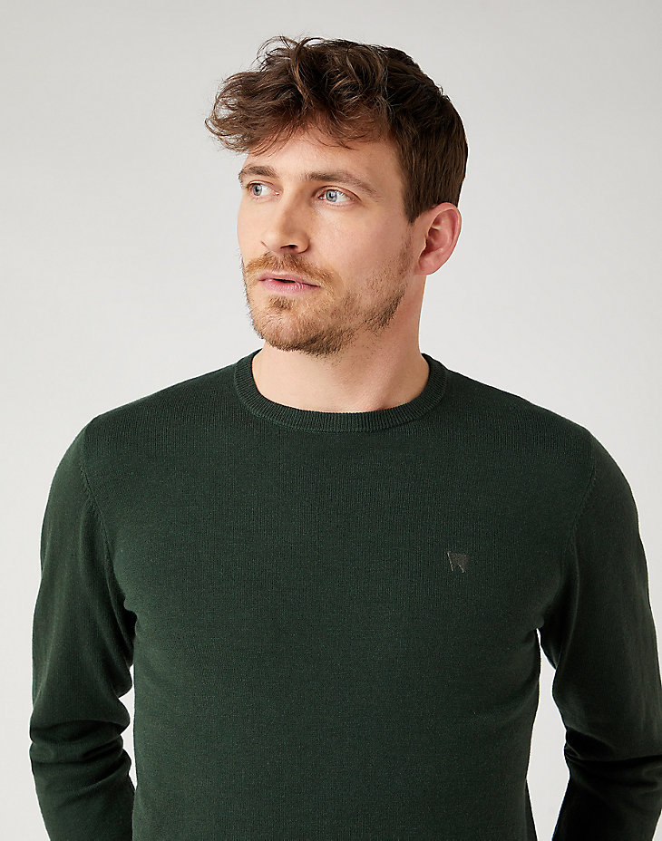 Crewneck Knit in Deep Forest alternative view 3